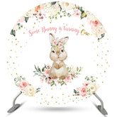 Hase Ist Drehen Eins Glücklich Geburtstag Kreis Hintergrund